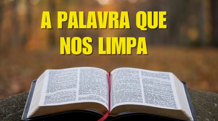 A Palavra que nos limpa